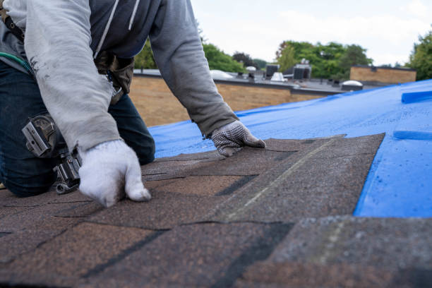 Waterproofing in Briar, TX